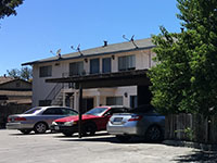 7527 Rogers Lane 5 Unit Apartment Sold in Gilroy